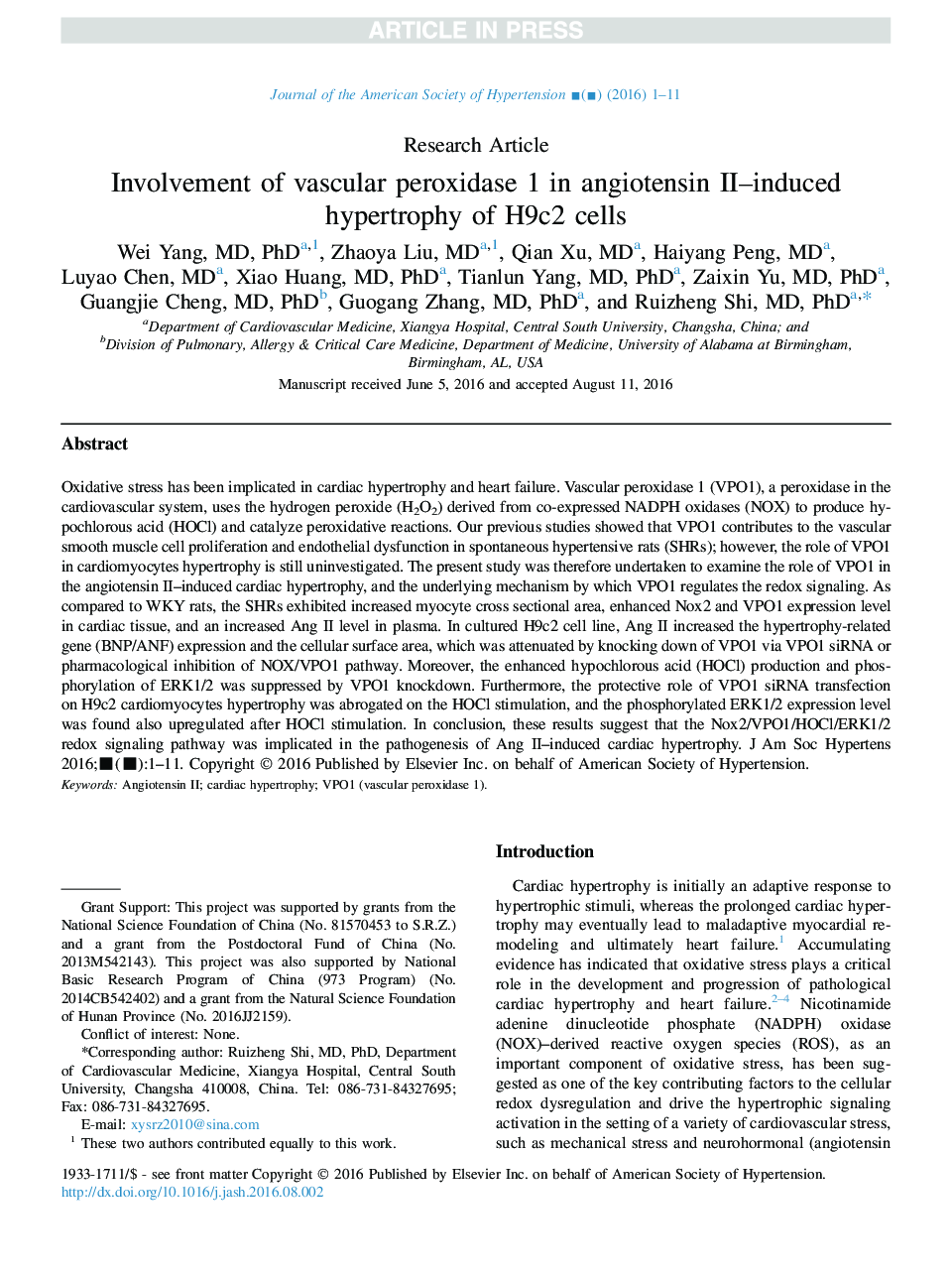 Involvement of vascular peroxidase 1 in angiotensin II-induced hypertrophy of H9c2 cells