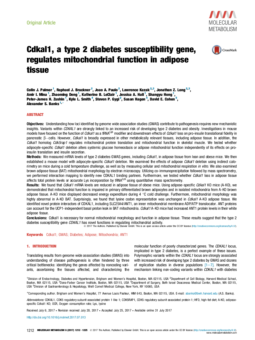 Cdkal1, a type 2 diabetes susceptibility gene, regulates mitochondrial function in adipose tissue