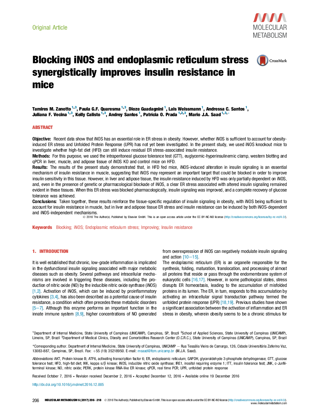 Blocking iNOS and endoplasmic reticulum stress synergistically improves insulin resistance in mice