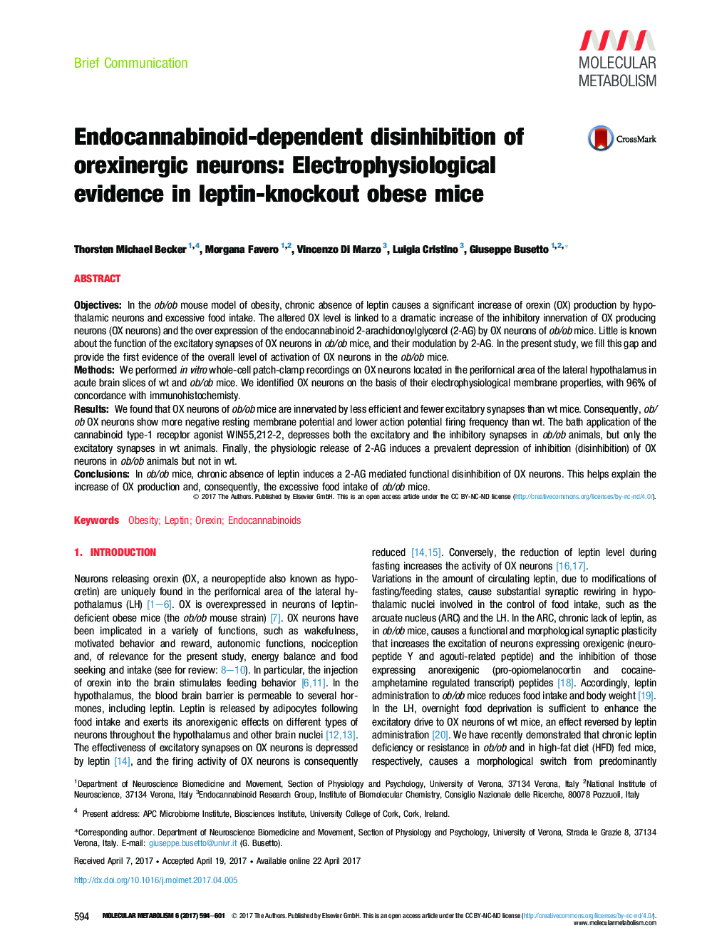 Endocannabinoid-dependent disinhibition of orexinergic neurons: Electrophysiological evidence in leptin-knockout obese mice