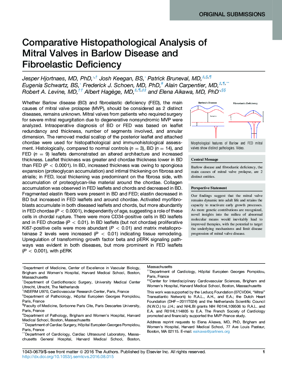 Comparative Histopathological Analysis of Mitral Valves in Barlow Disease and Fibroelastic Deficiency