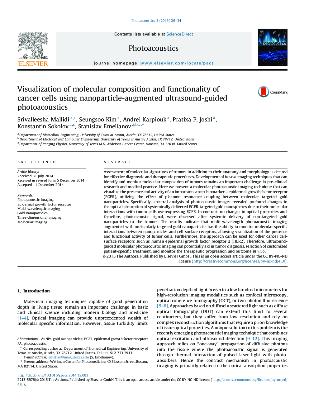 Visualization of molecular composition and functionality of cancer cells using nanoparticle-augmented ultrasound-guided photoacoustics