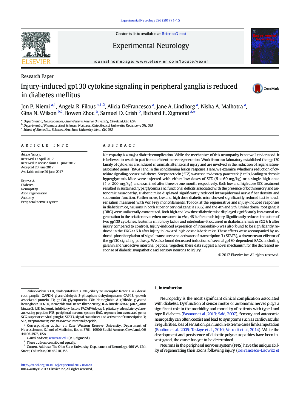 Research PaperInjury-induced gp130 cytokine signaling in peripheral ganglia is reduced in diabetes mellitus