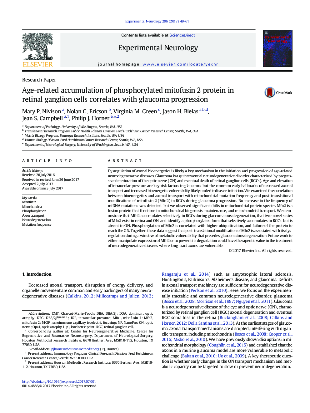 Research PaperAge-related accumulation of phosphorylated mitofusin 2 protein in retinal ganglion cells correlates with glaucoma progression