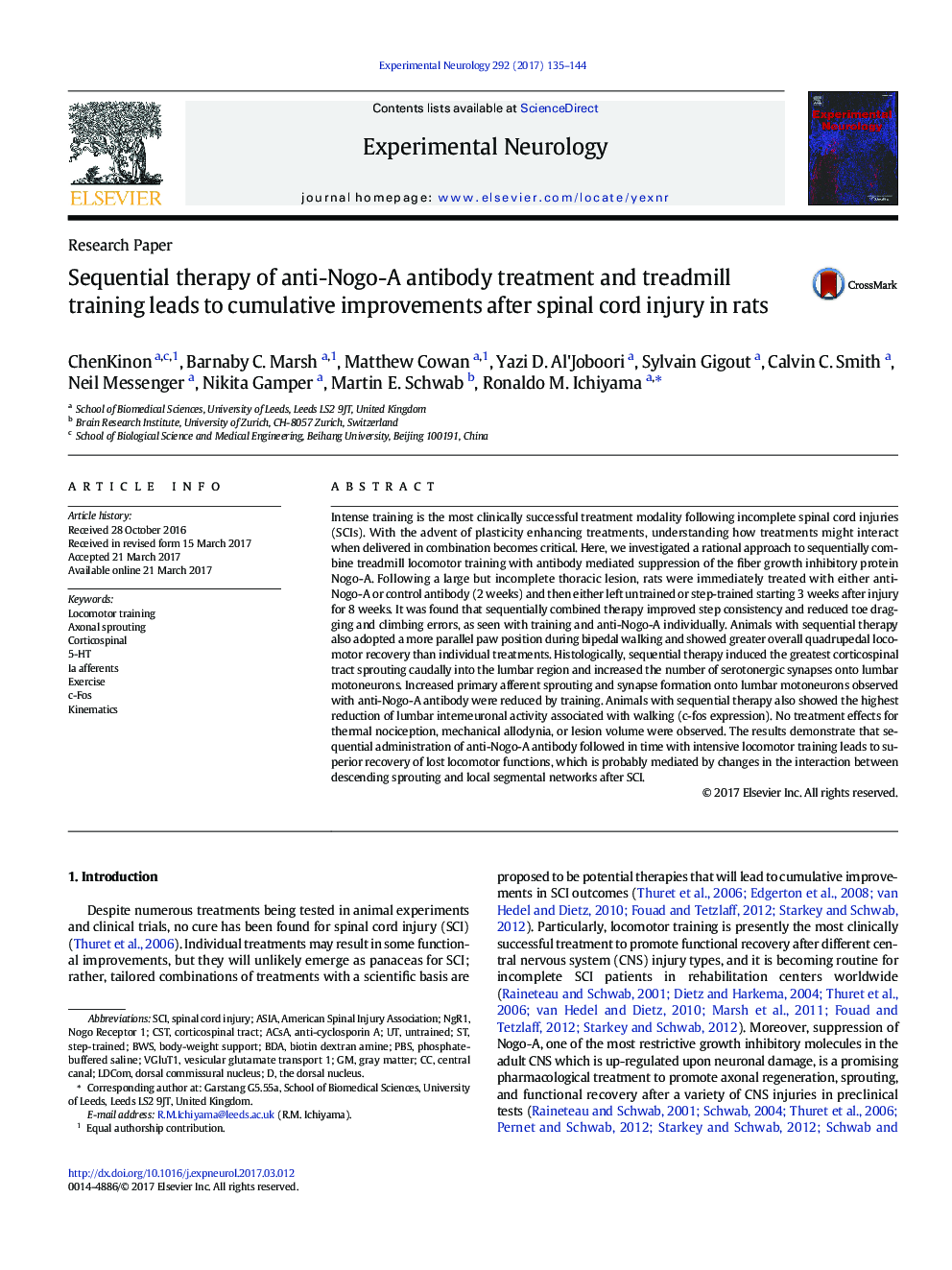 Research PaperSequential therapy of anti-Nogo-A antibody treatment and treadmill training leads to cumulative improvements after spinal cord injury in rats