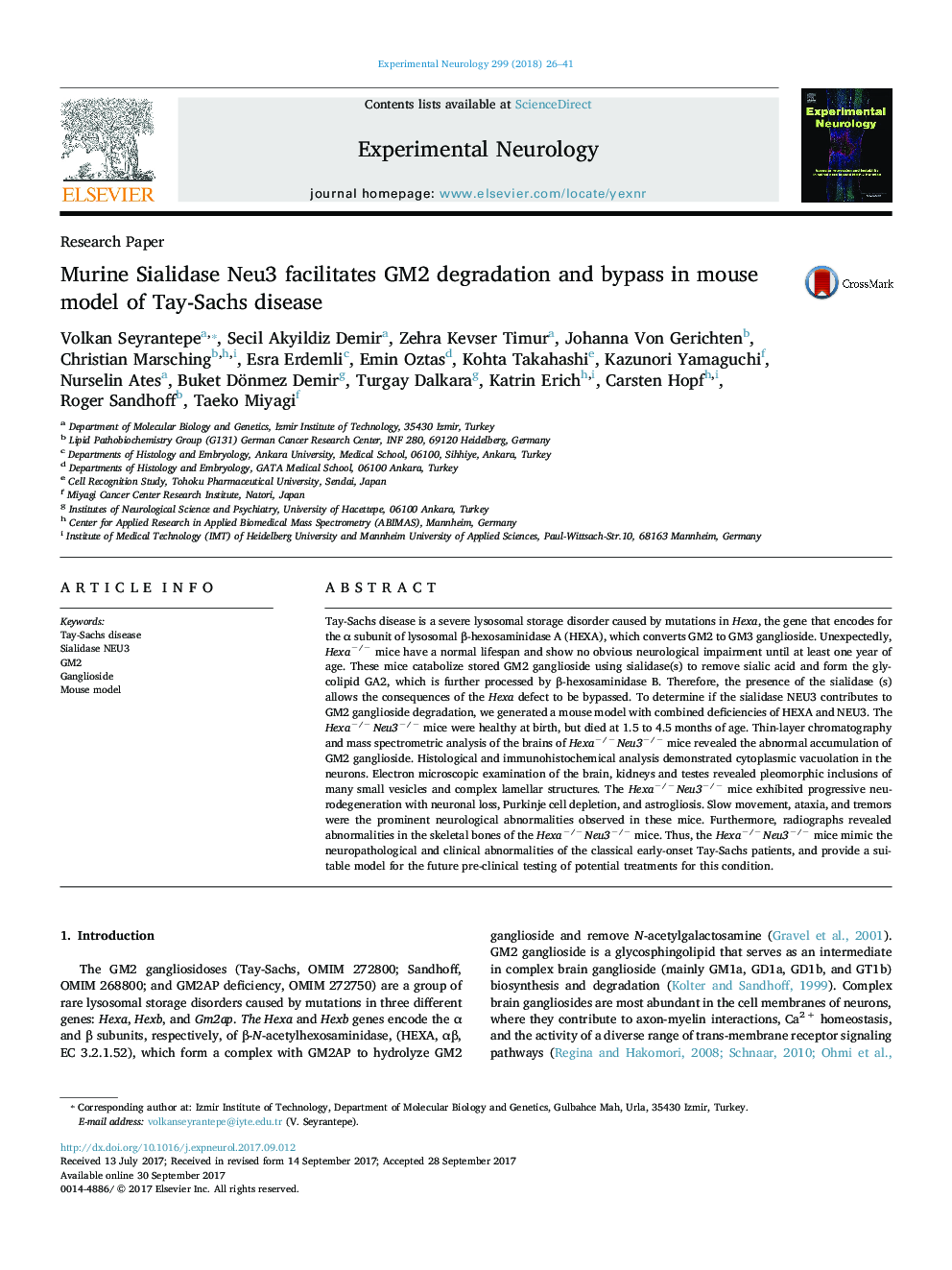 Murine Sialidase Neu3 facilitates GM2 degradation and bypass in mouse model of Tay-Sachs disease