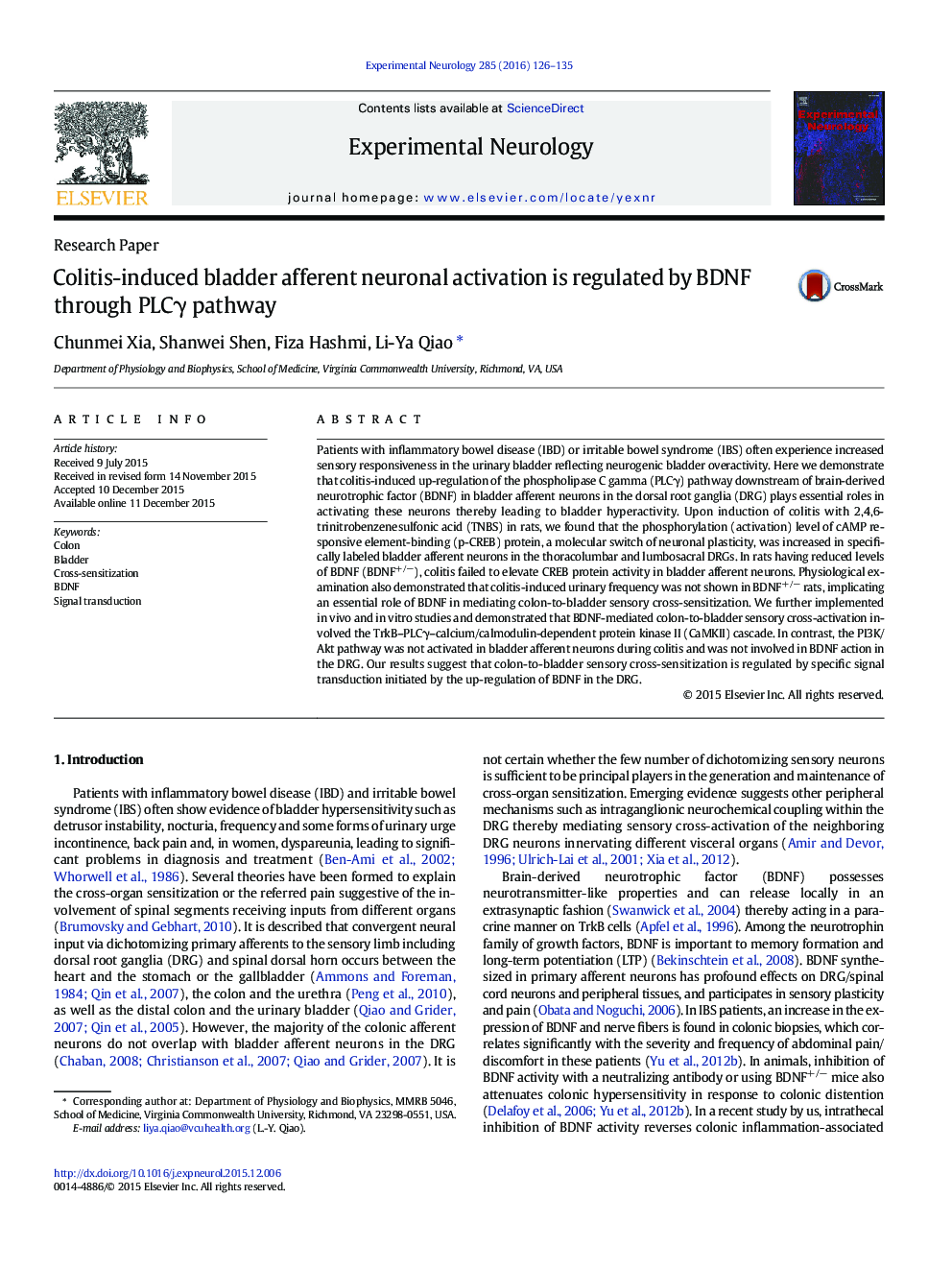 Research PaperColitis-induced bladder afferent neuronal activation is regulated by BDNF through PLCÎ³ pathway