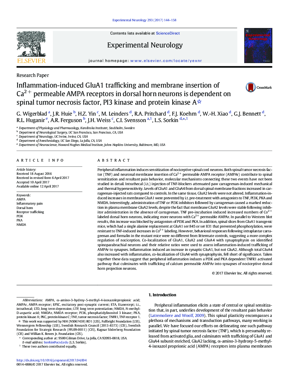 Research PaperInflammation-induced GluA1 trafficking and membrane insertion of Ca2Â + permeable AMPA receptors in dorsal horn neurons is dependent on spinal tumor necrosis factor, PI3 kinase and protein kinase A