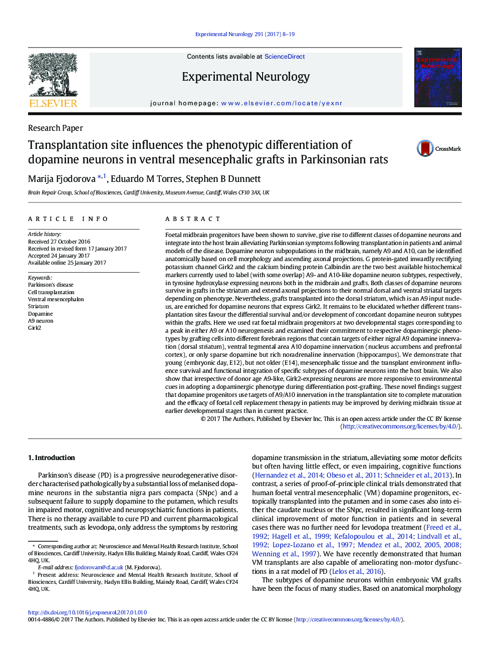 Research PaperTransplantation site influences the phenotypic differentiation of dopamine neurons in ventral mesencephalic grafts in Parkinsonian rats