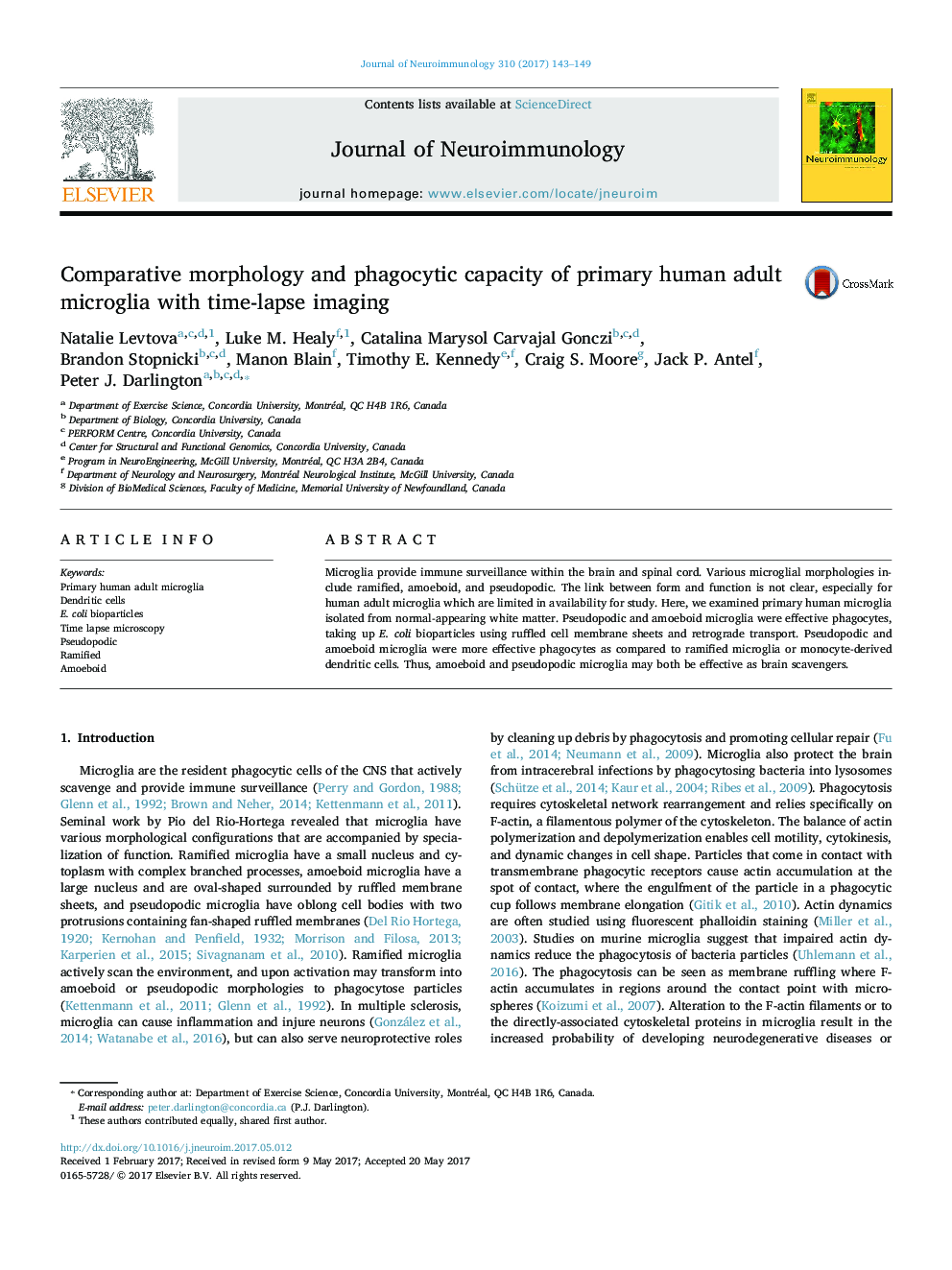 Comparative morphology and phagocytic capacity of primary human adult microglia with time-lapse imaging