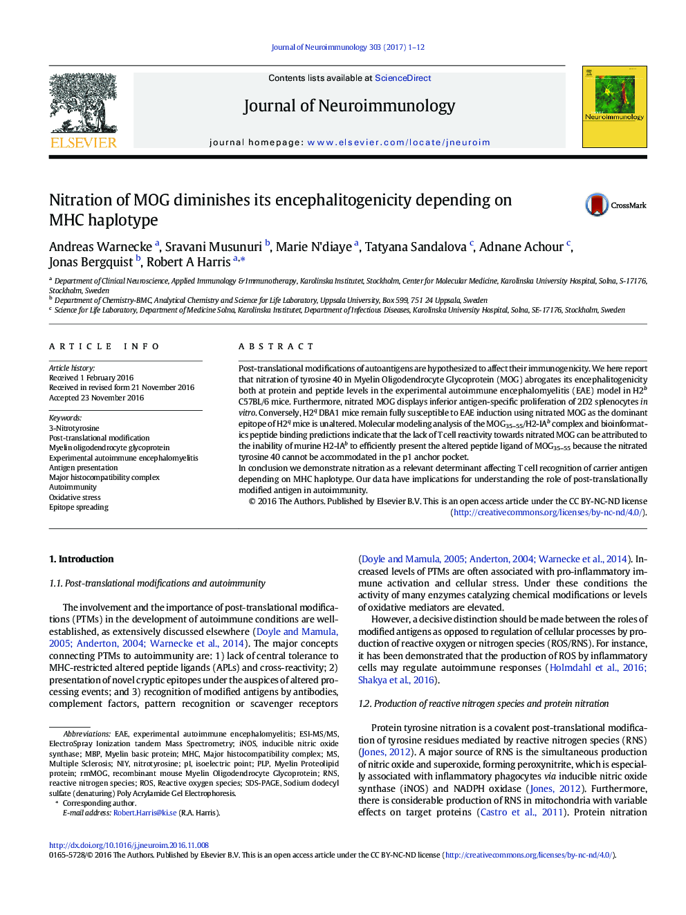 Nitration of MOG diminishes its encephalitogenicity depending on MHC haplotype