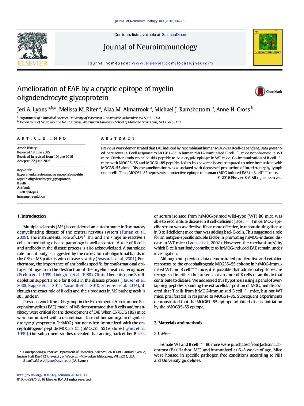 Amelioration of EAE by a cryptic epitope of myelin oligodendrocyte glycoprotein