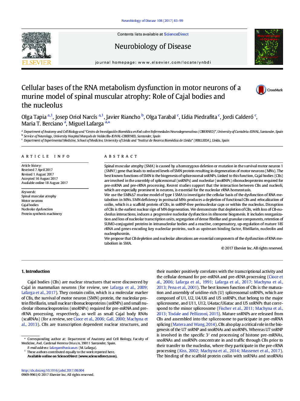 Cellular bases of the RNA metabolism dysfunction in motor neurons of a murine model of spinal muscular atrophy: Role of Cajal bodies and the nucleolus