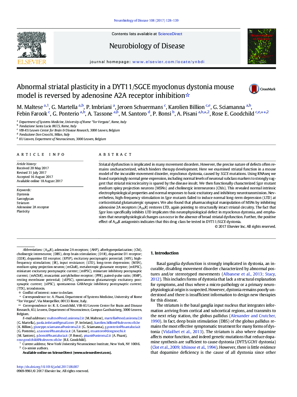 Abnormal striatal plasticity in a DYT11/SGCE myoclonus dystonia mouse model is reversed by adenosine A2A receptor inhibition