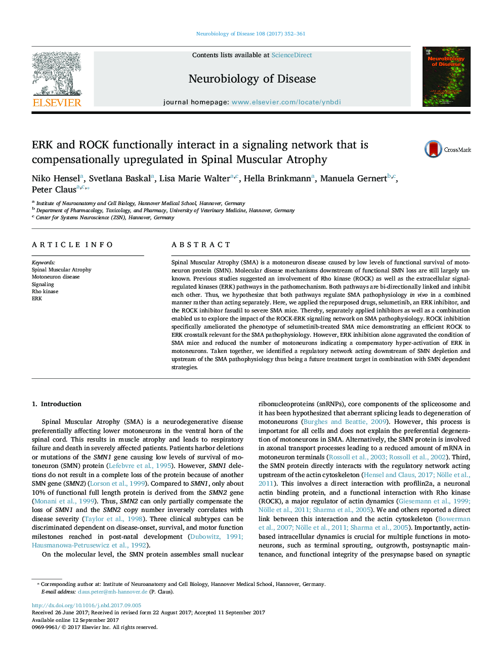 ERK and ROCK functionally interact in a signaling network that is compensationally upregulated in Spinal Muscular Atrophy