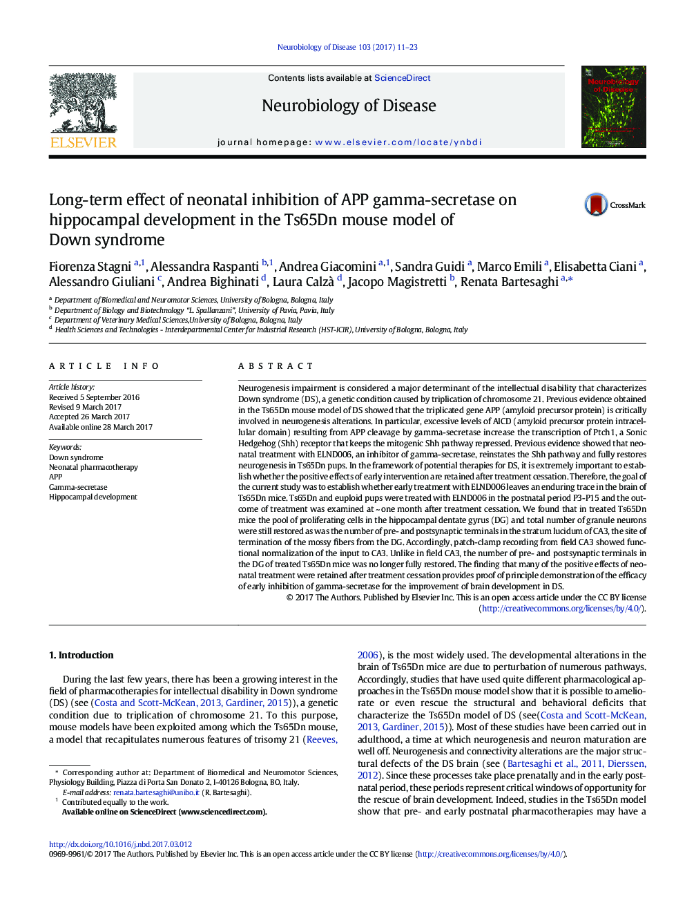 Long-term effect of neonatal inhibition of APP gamma-secretase on hippocampal development in the Ts65Dn mouse model of Down syndrome