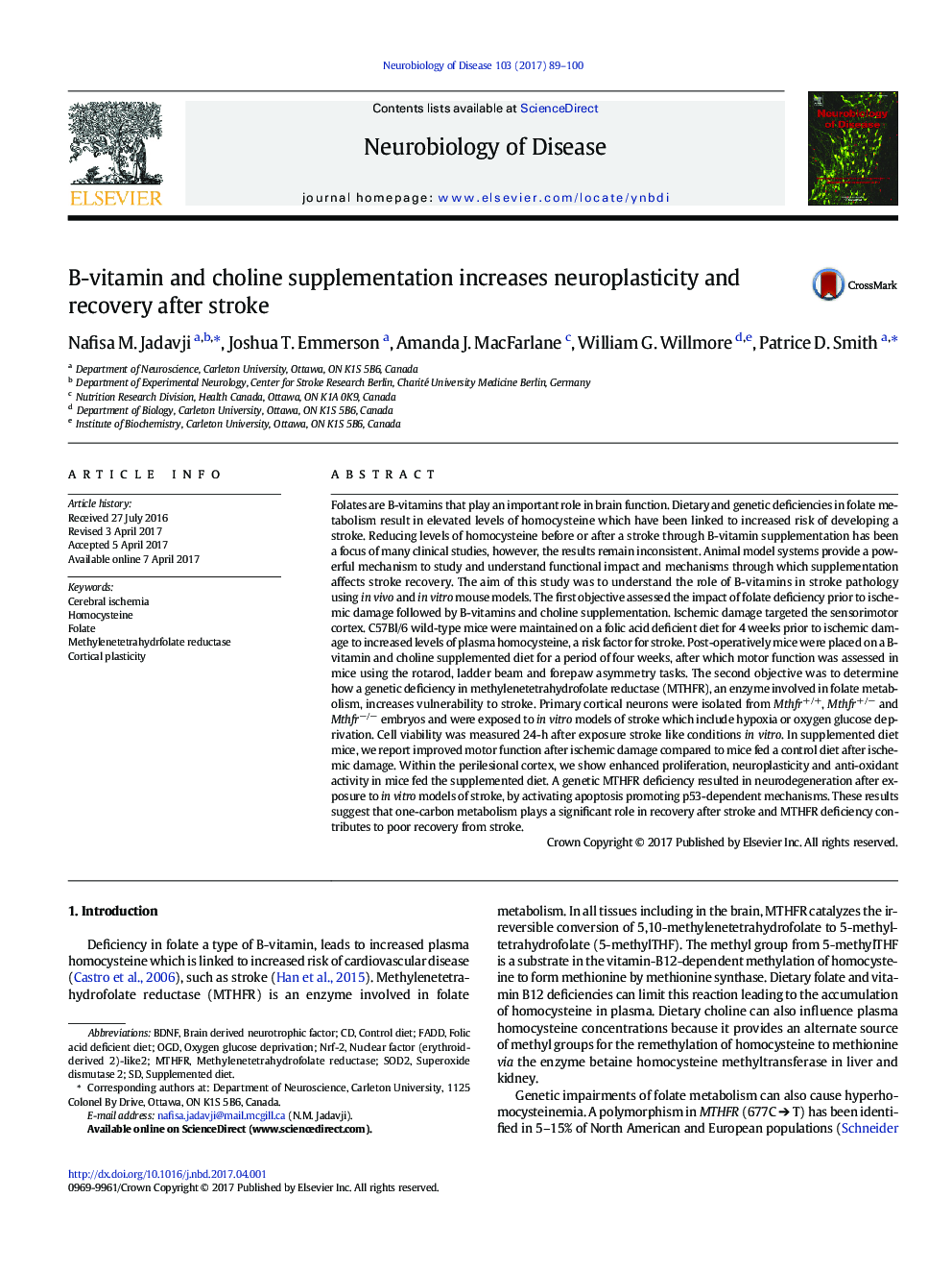 B-vitamin and choline supplementation increases neuroplasticity and recovery after stroke