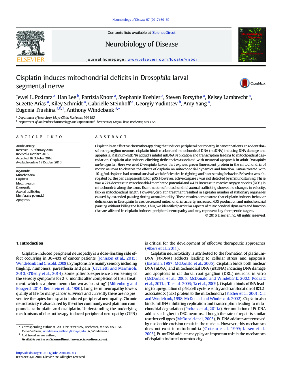 Cisplatin induces mitochondrial deficits in Drosophila larval segmental nerve