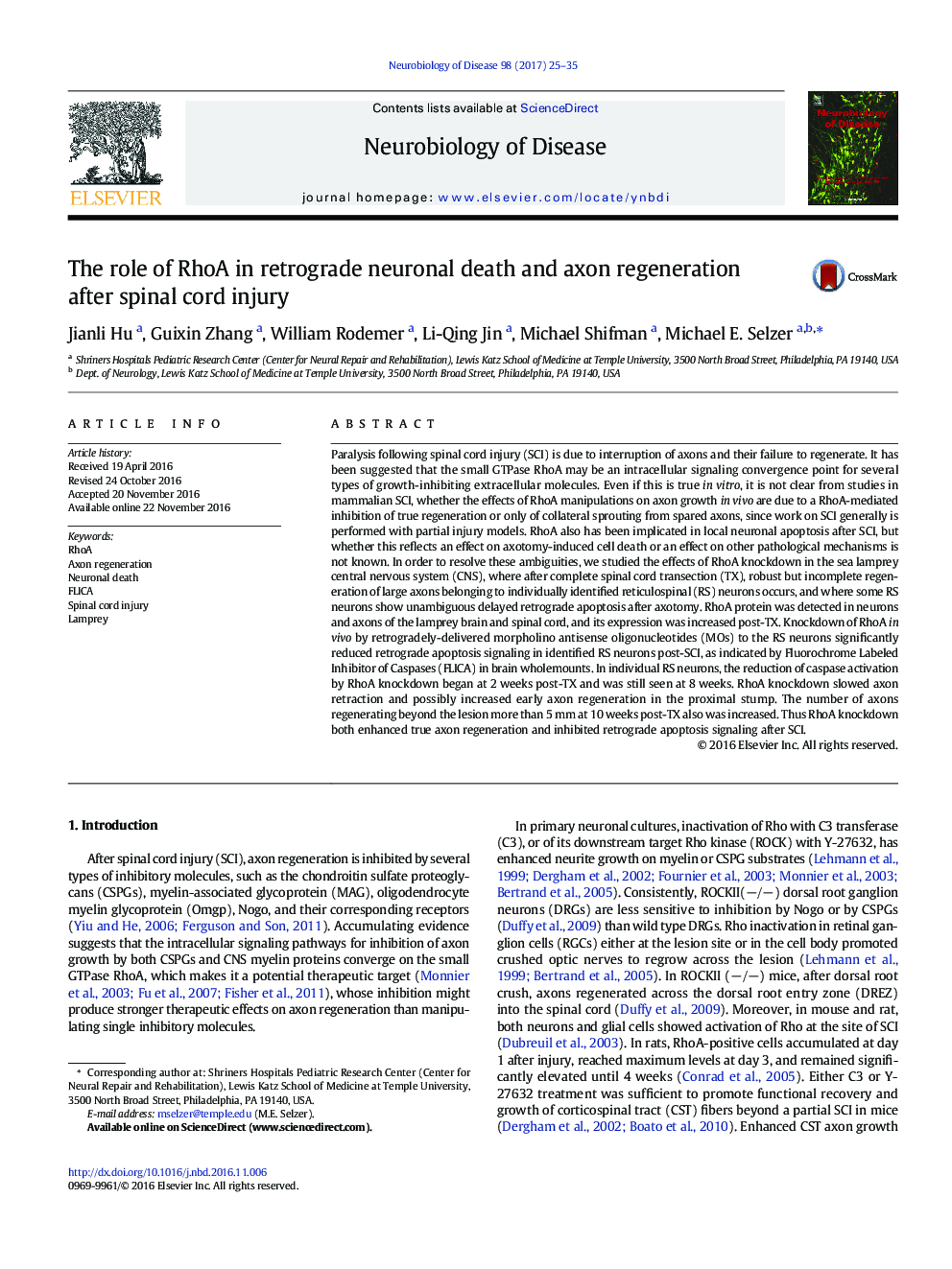 The role of RhoA in retrograde neuronal death and axon regeneration after spinal cord injury