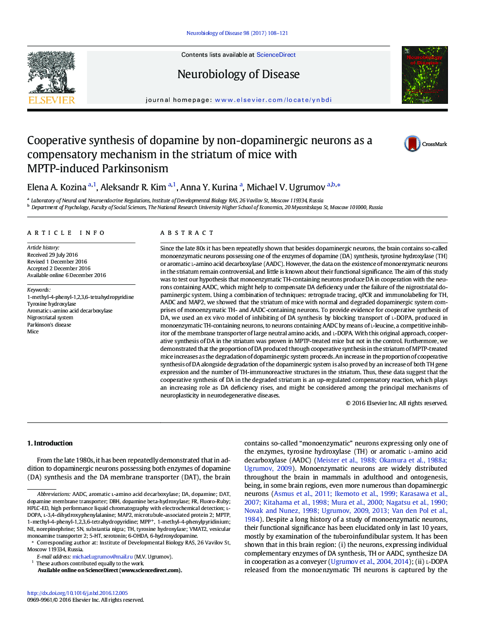 Cooperative synthesis of dopamine by non-dopaminergic neurons as a compensatory mechanism in the striatum of mice with MPTP-induced Parkinsonism