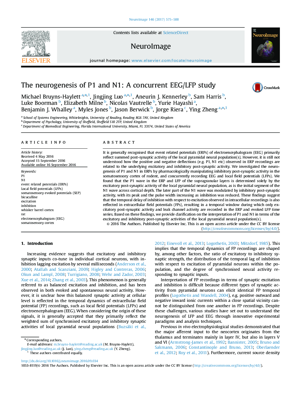 The neurogenesis of P1 and N1: A concurrent EEG/LFP study