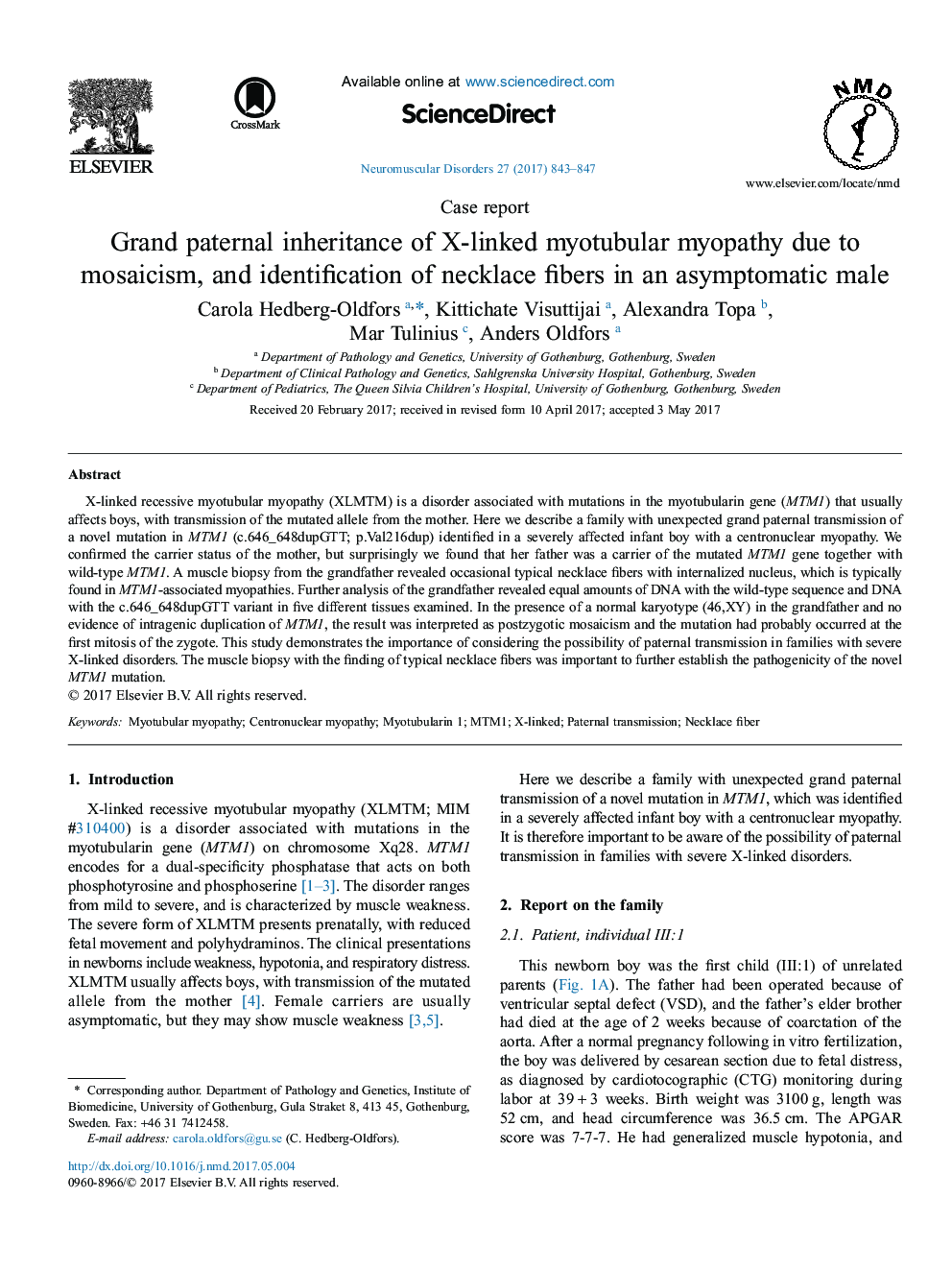 Case reportGrand paternal inheritance of X-linked myotubular myopathy due to mosaicism, and identification of necklace fibers in an asymptomatic male