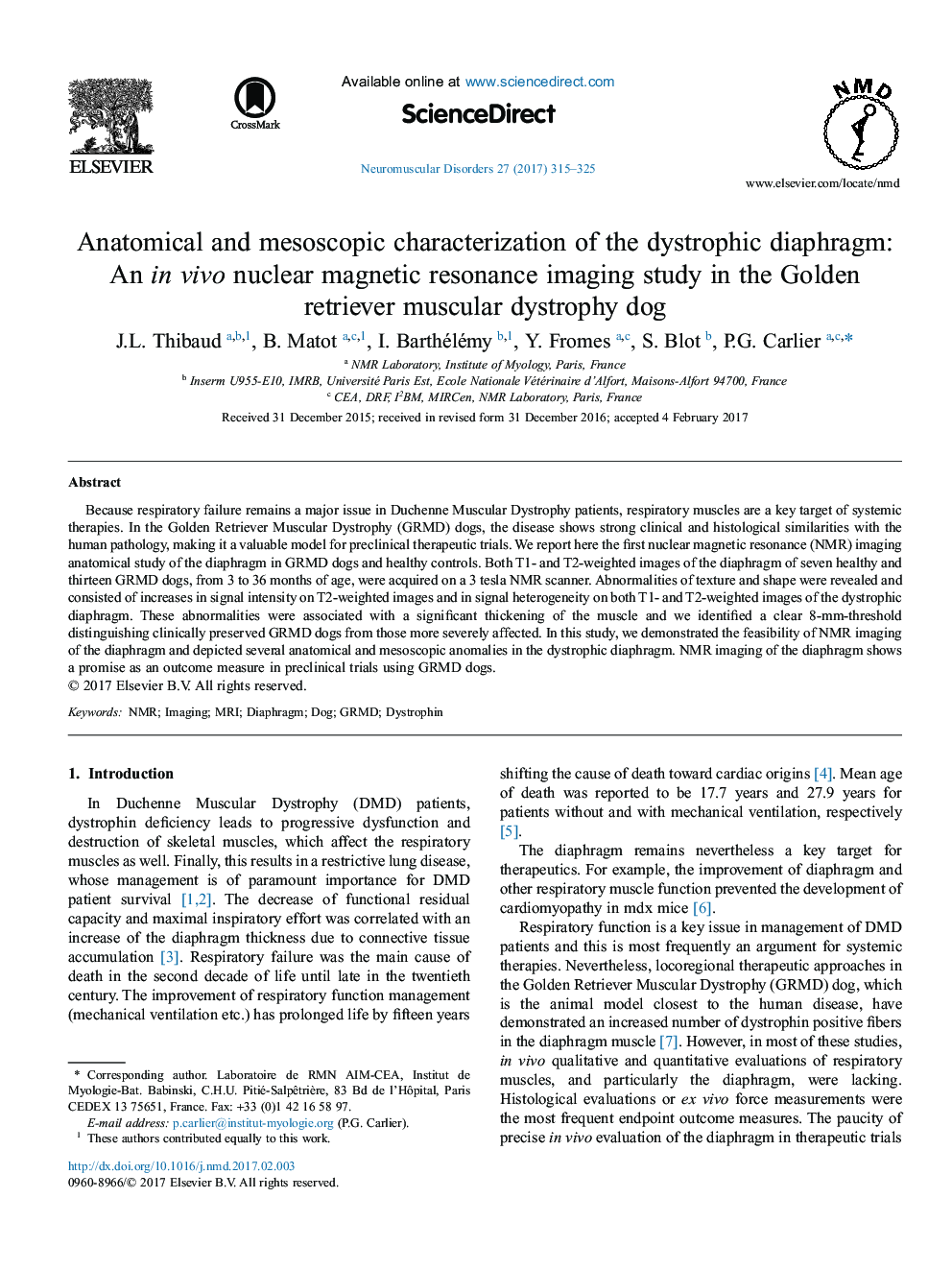 Anatomical and mesoscopic characterization of the dystrophic diaphragm: An in vivo nuclear magnetic resonance imaging study in the Golden retriever muscular dystrophy dog