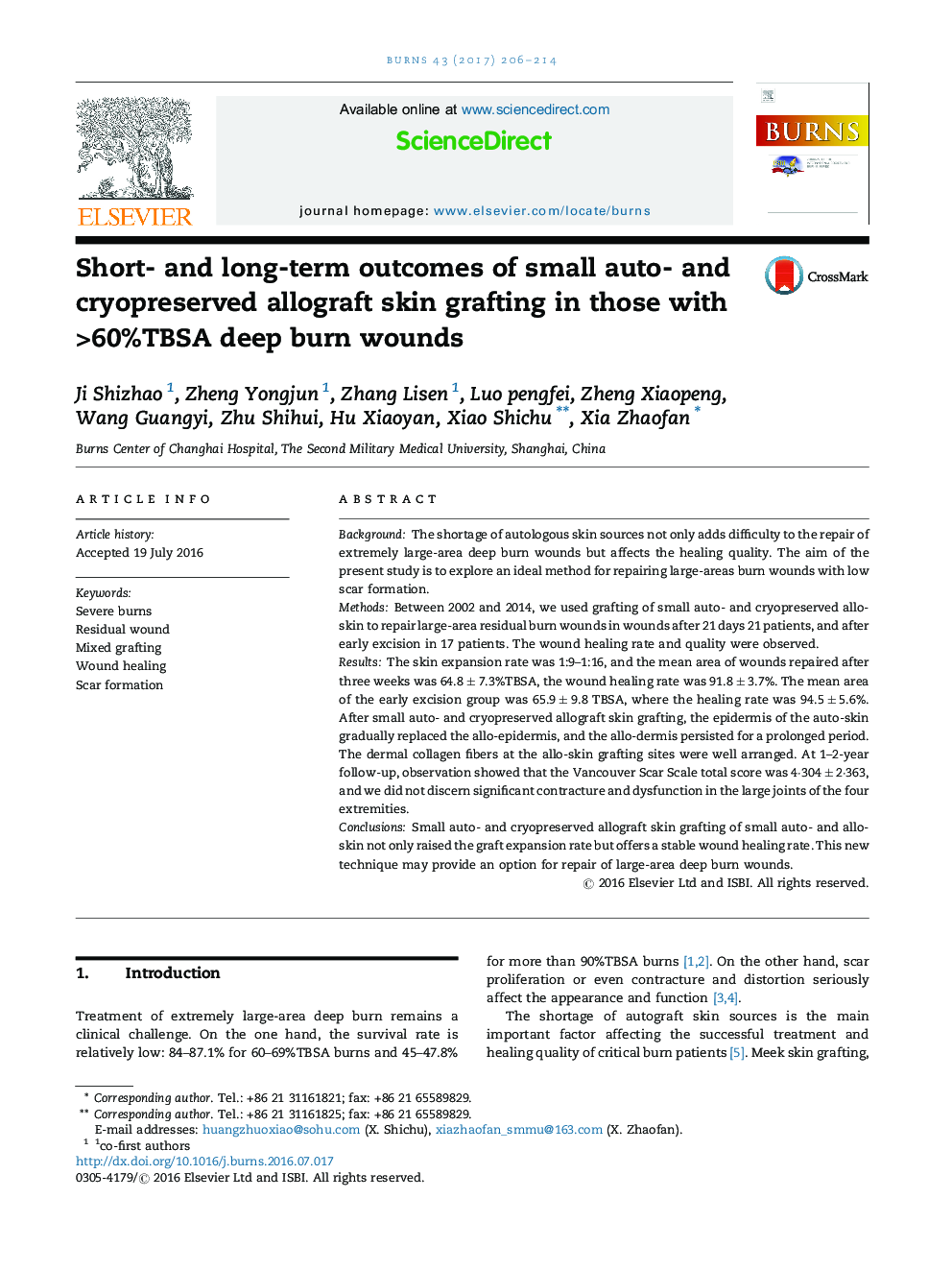 Short- and long-term outcomes of small auto- and cryopreserved allograft skin grafting in those with >60%TBSA deep burn wounds