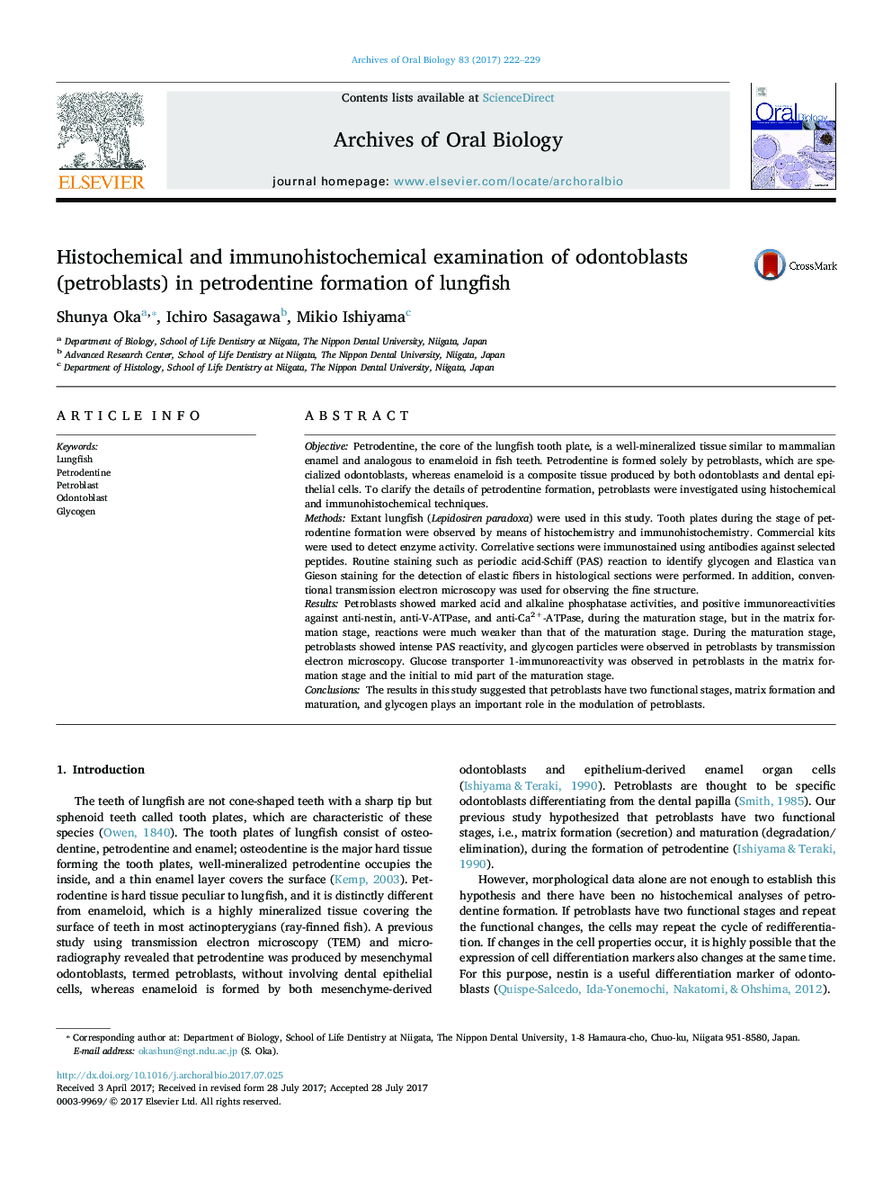 Histochemical and immunohistochemical examination of odontoblasts (petroblasts) in petrodentine formation of lungfish