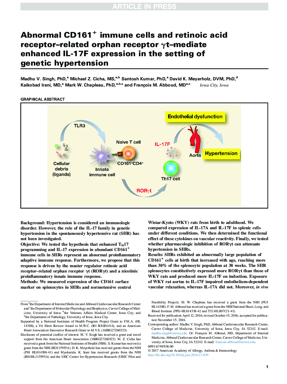 Abnormal CD161+ immune cells and retinoic acid receptor-related orphan receptor Î³t-mediate enhanced IL-17F expression in the setting of genetic hypertension