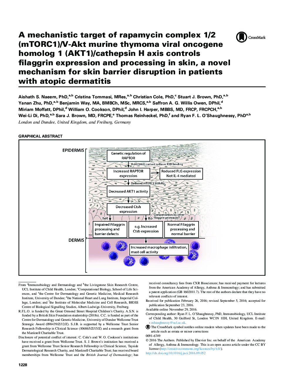 A mechanistic target of rapamycin complex 1/2 (mTORC1)/V-Akt murine thymoma viral oncogene homolog 1 (AKT1)/cathepsin H axis controls filaggrin expression and processing in skin, a novel mechanism for skin barrier disruption in patients with atopic dermat