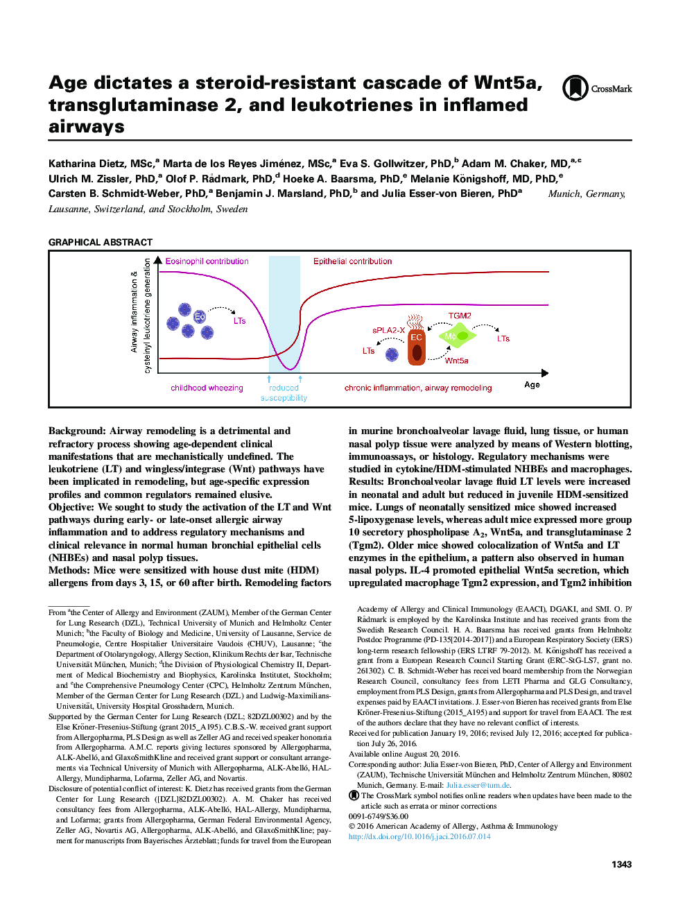 Age dictates a steroid-resistant cascade of Wnt5a, transglutaminase 2, and leukotrienes in inflamed airways