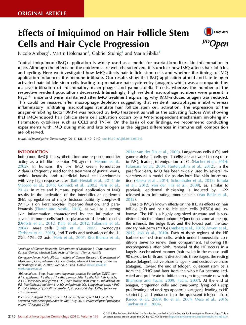 Effects of Imiquimod on Hair Follicle Stem Cells and Hair Cycle Progression