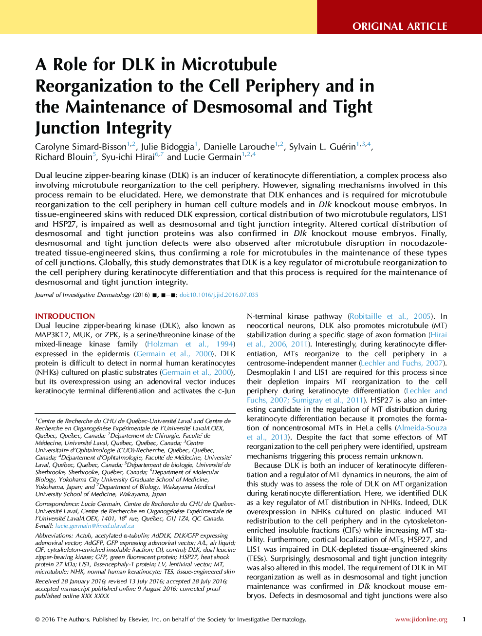 A Role for DLK in Microtubule Reorganization to the Cell Periphery and in the Maintenance of Desmosomal and Tight Junction Integrity