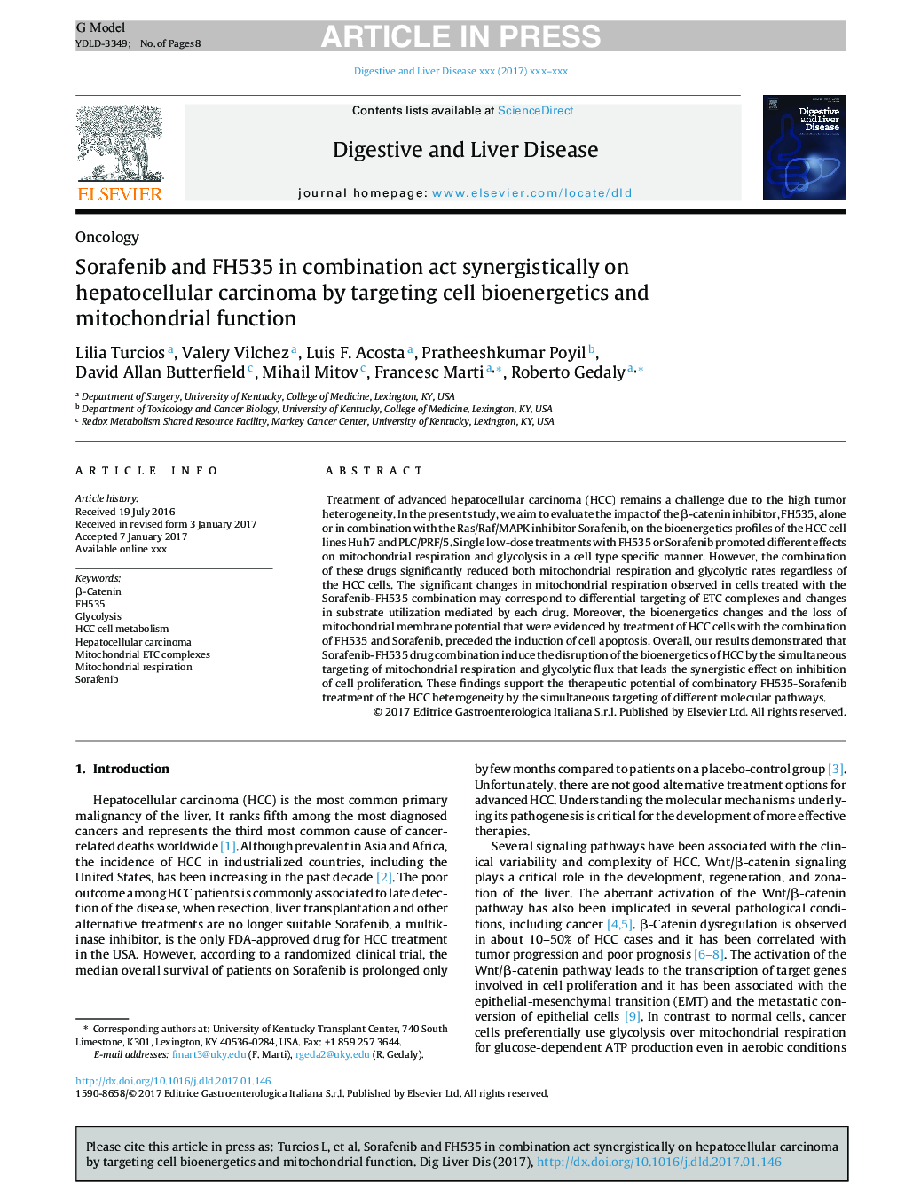 Sorafenib and FH535 in combination act synergistically on hepatocellular carcinoma by targeting cell bioenergetics and mitochondrial function