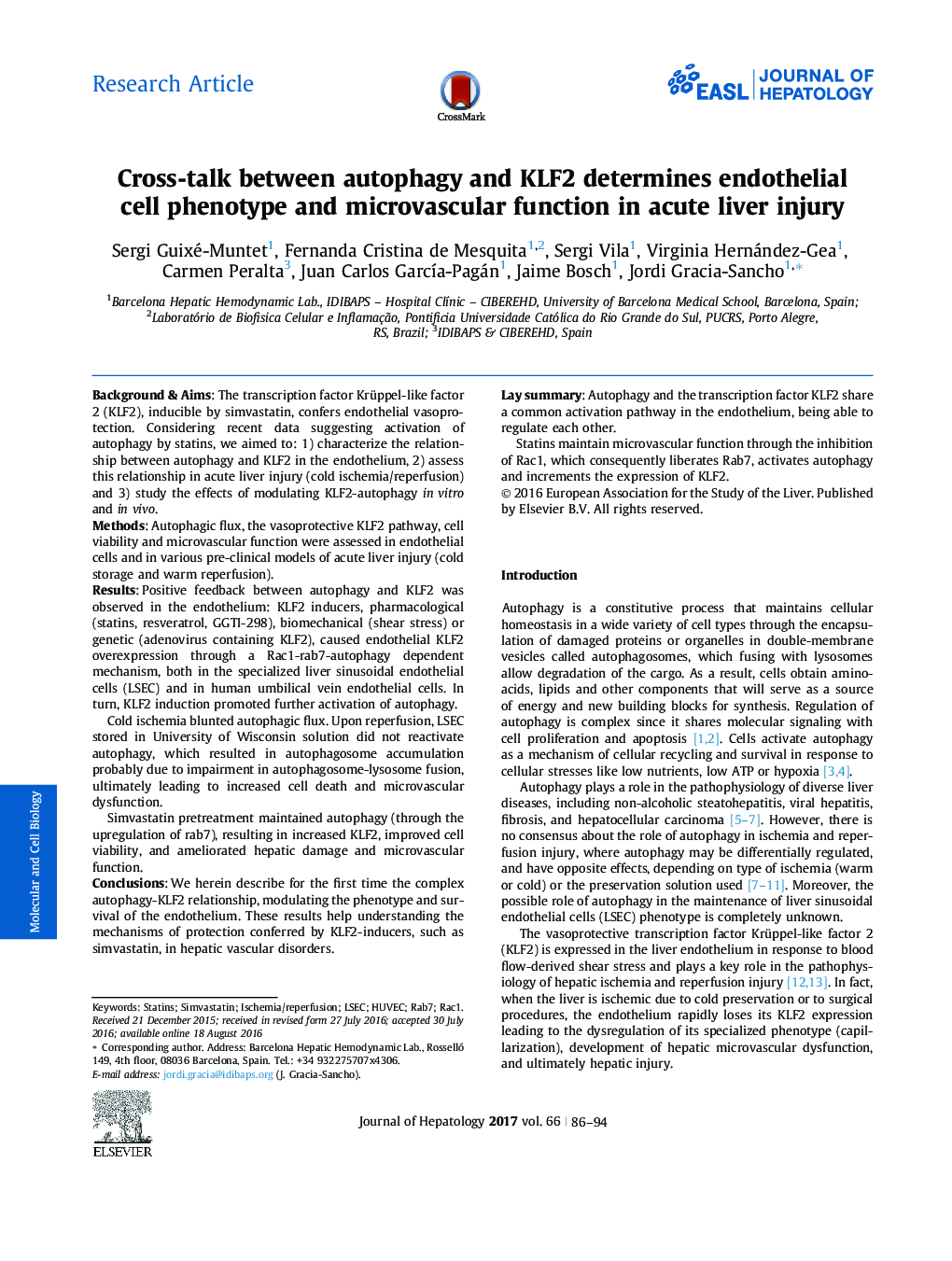 Cross-talk between autophagy and KLF2 determines endothelial cell phenotype and microvascular function in acute liver injury