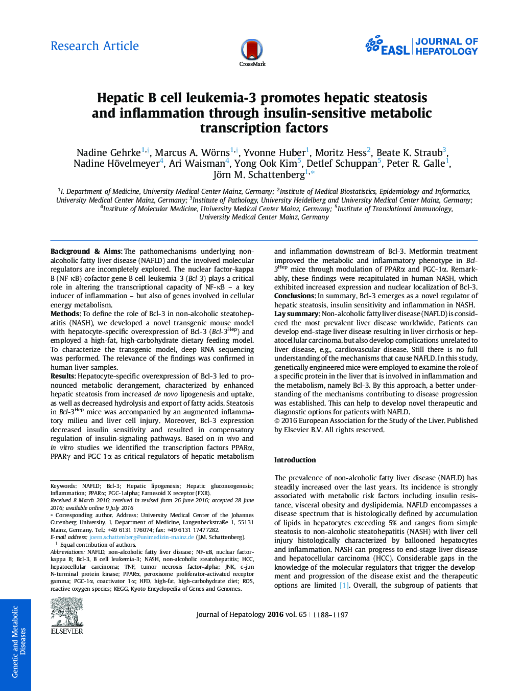 Hepatic B cell leukemia-3 promotes hepatic steatosis and inflammation through insulin-sensitive metabolic transcription factors