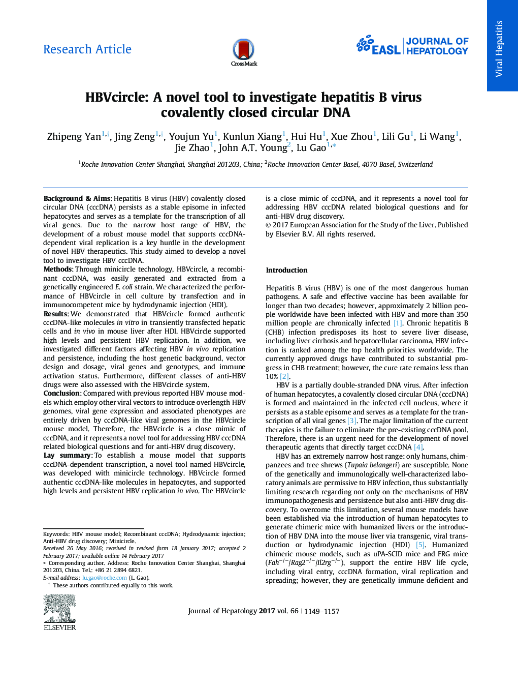 HBVcircle: A novel tool to investigate hepatitis B virus covalently closed circular DNA