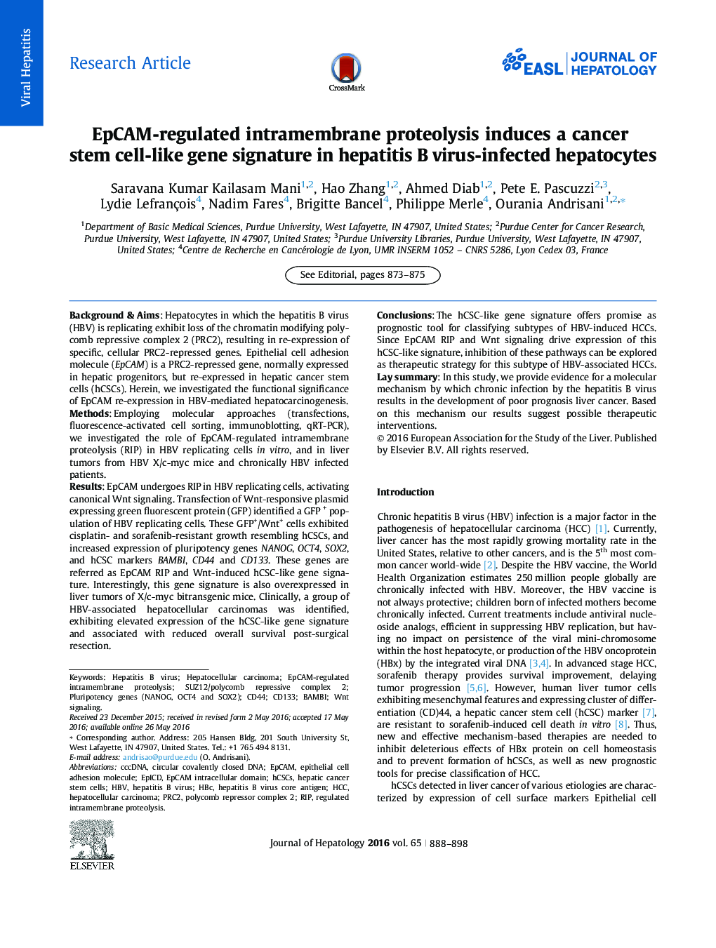 EpCAM-regulated intramembrane proteolysis induces a cancer stem cell-like gene signature in hepatitis B virus-infected hepatocytes