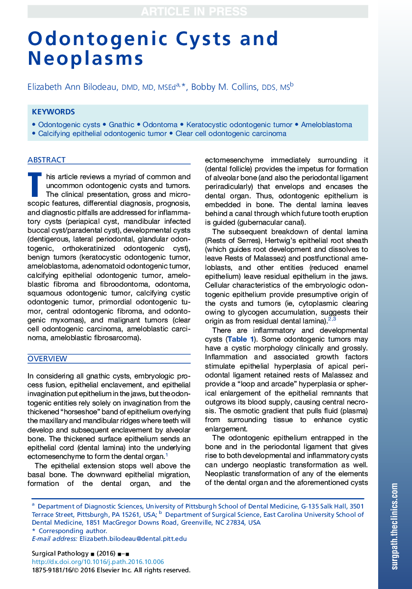 Odontogenic Cysts and Neoplasms