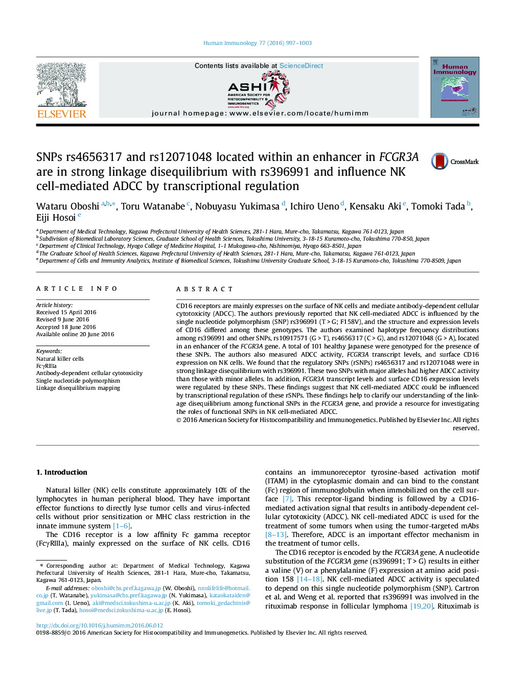 SNPs rs4656317 and rs12071048 located within an enhancer in FCGR3A are in strong linkage disequilibrium with rs396991 and influence NK cell-mediated ADCC by transcriptional regulation