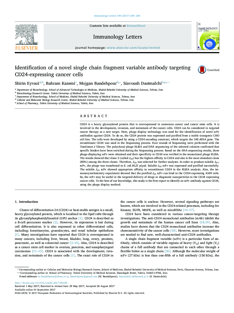 Identification of a novel single chain fragment variable antibody targeting CD24-expressing cancer cells