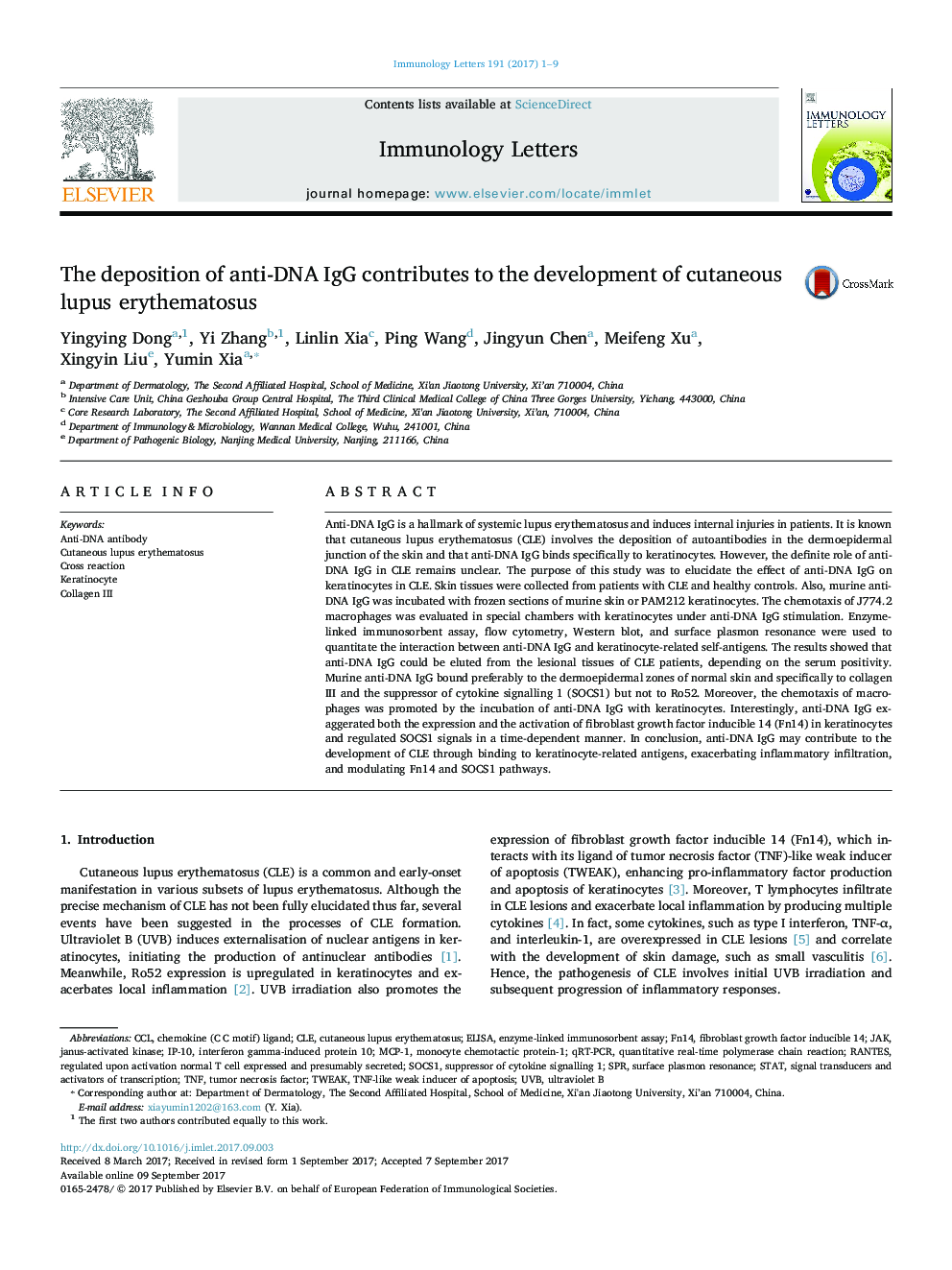 The deposition of anti-DNA IgG contributes to the development of cutaneous lupus erythematosus