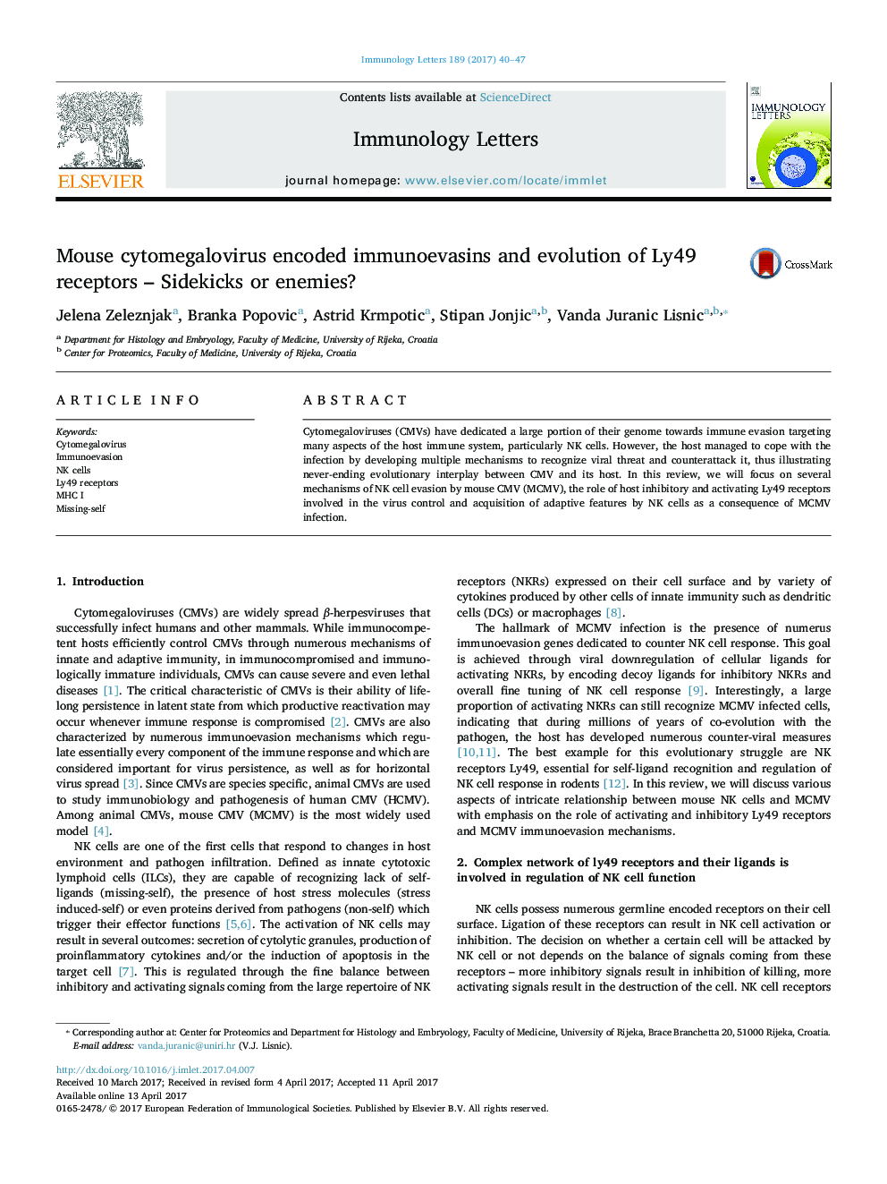 Mouse cytomegalovirus encoded immunoevasins and evolution of Ly49 receptors - Sidekicks or enemies?