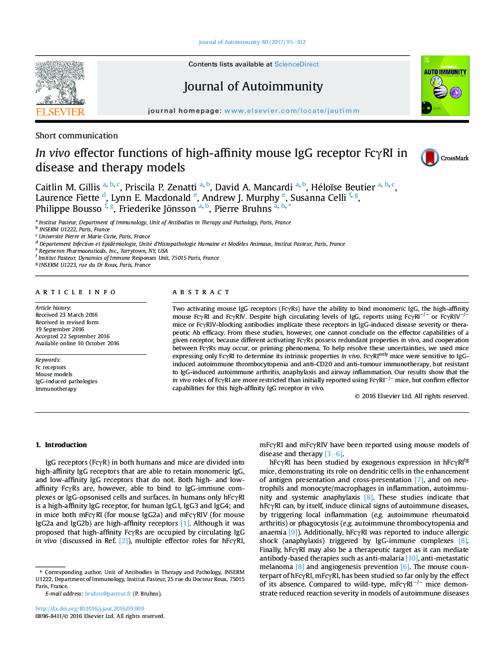 InÂ vivo effector functions of high-affinity mouse IgG receptor FcÎ³RI in disease and therapy models