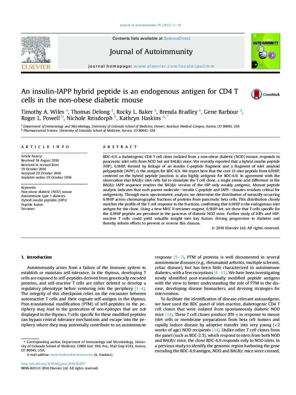 An insulin-IAPP hybrid peptide is an endogenous antigen for CD4 T cells in the non-obese diabetic mouse