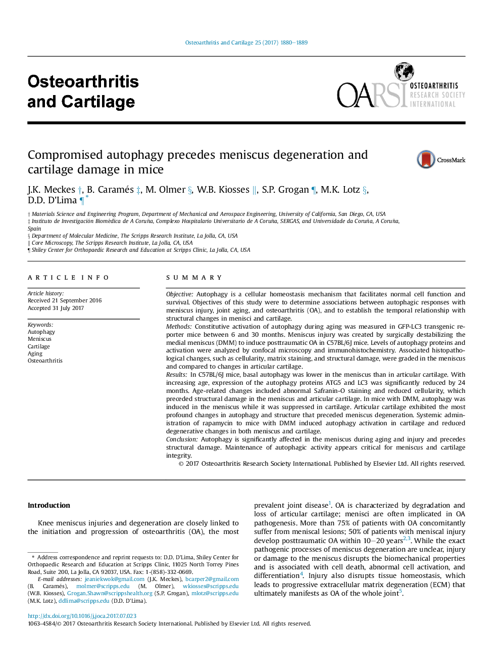 Compromised autophagy precedes meniscus degeneration and cartilage damage in mice