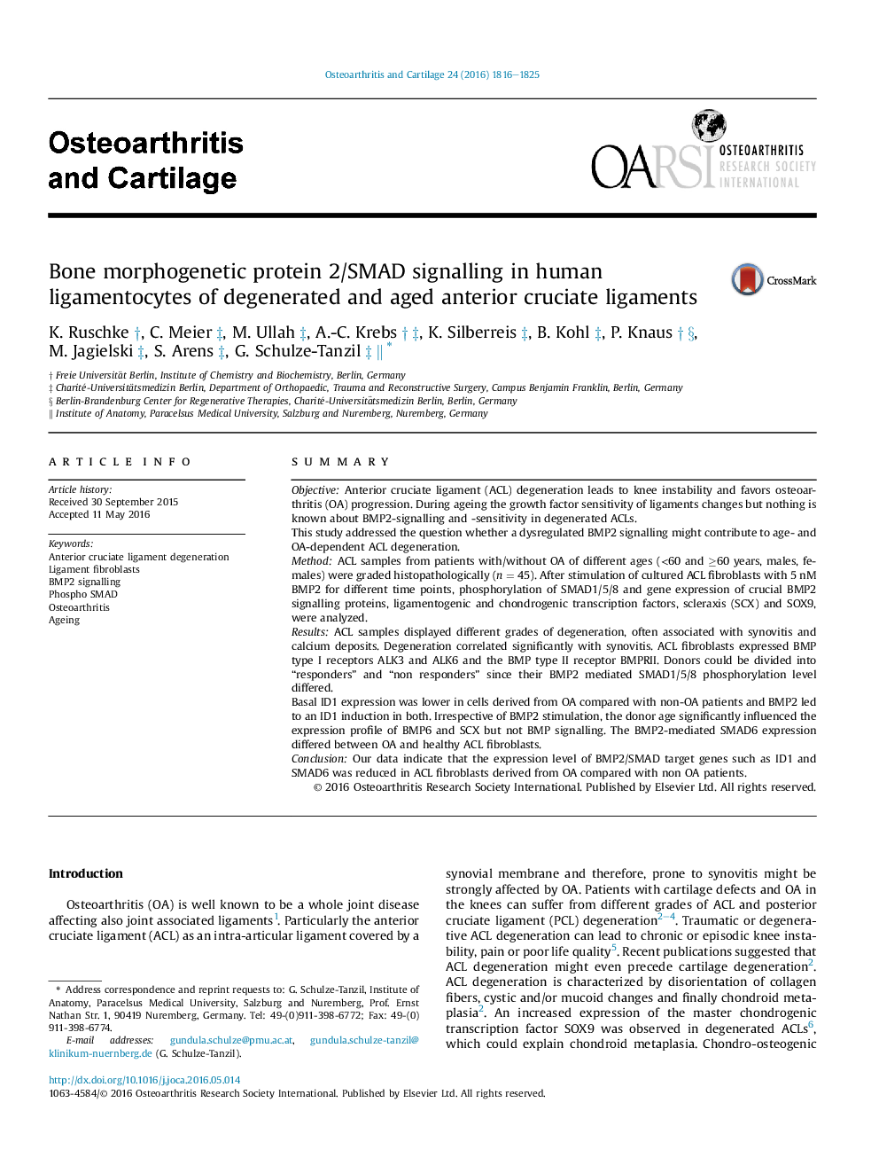 Bone morphogenetic protein 2/SMAD signalling in human ligamentocytes of degenerated and aged anterior cruciate ligaments