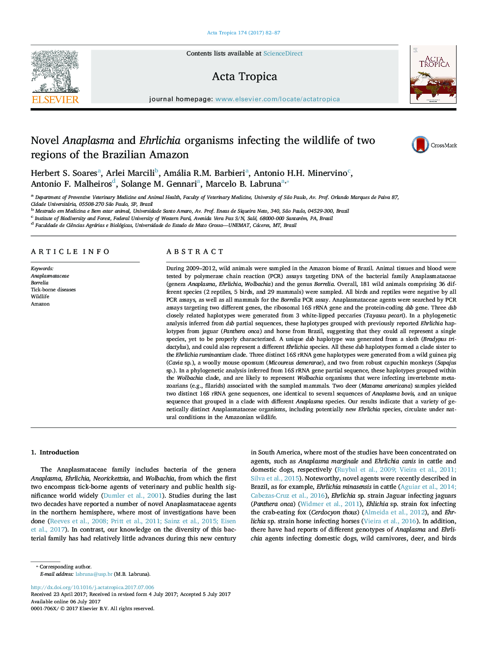 Novel Anaplasma and Ehrlichia organisms infecting the wildlife of two regions of the Brazilian Amazon