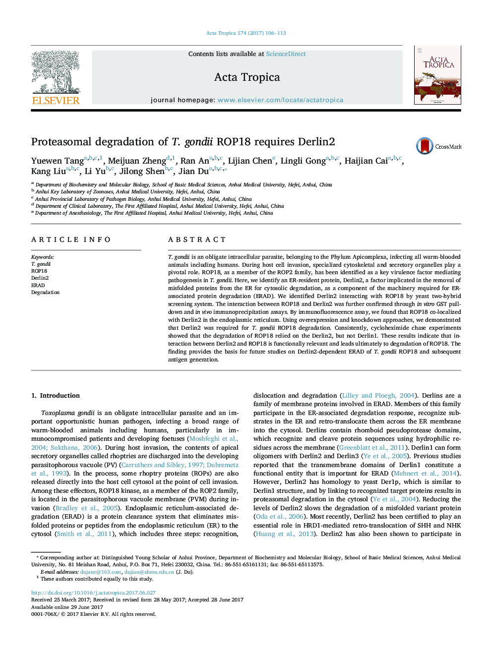 Proteasomal degradation of T. gondii ROP18 requires Derlin2